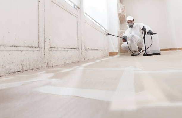 24/7 Emergency Mold Remediation experts in Gaithersburg, MD