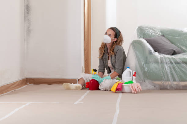 Reliable Mold Remediation contractor in Gaithersburg, MD by Car Mold Remediation